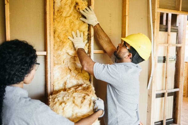 Best Commercial Insulation Services  in St City, AR